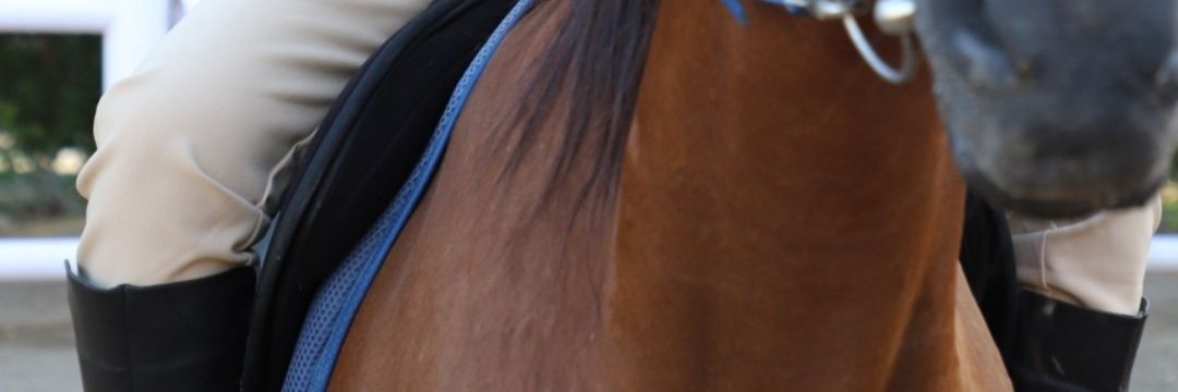 بنت السلاطين 🇴🇲's banner