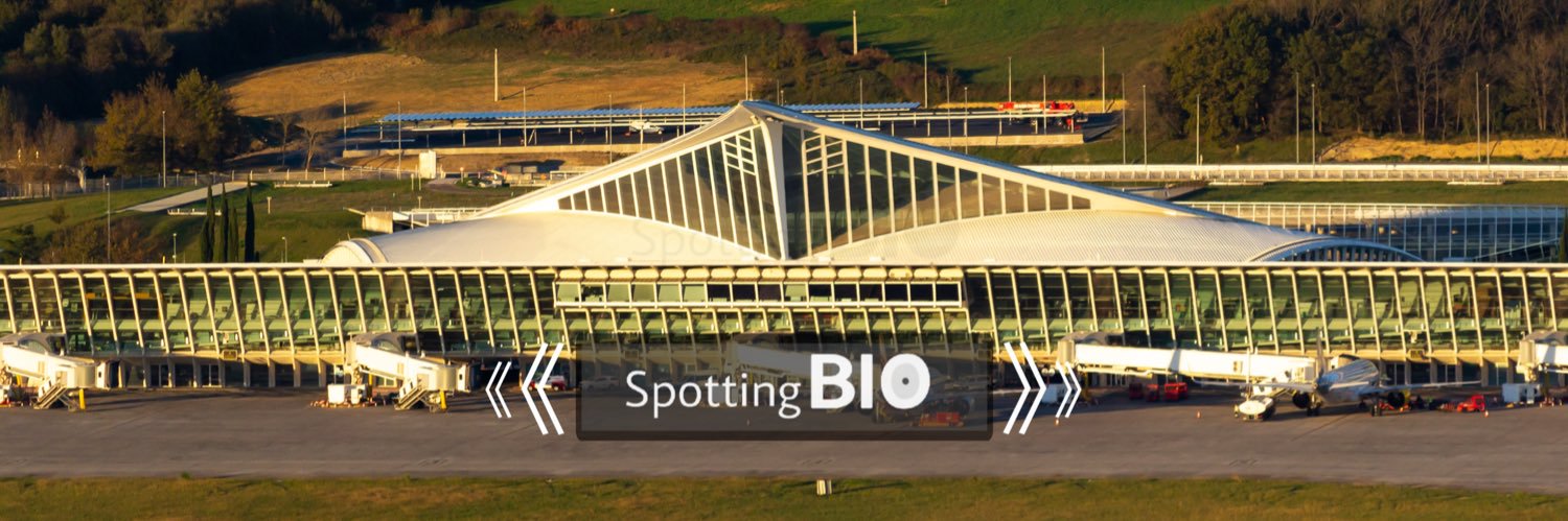 Spotting BIO | Asier ✈'s banner