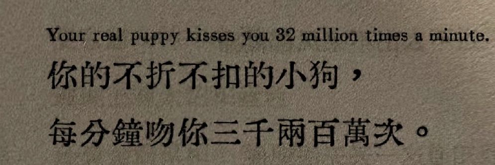 小咩's banner