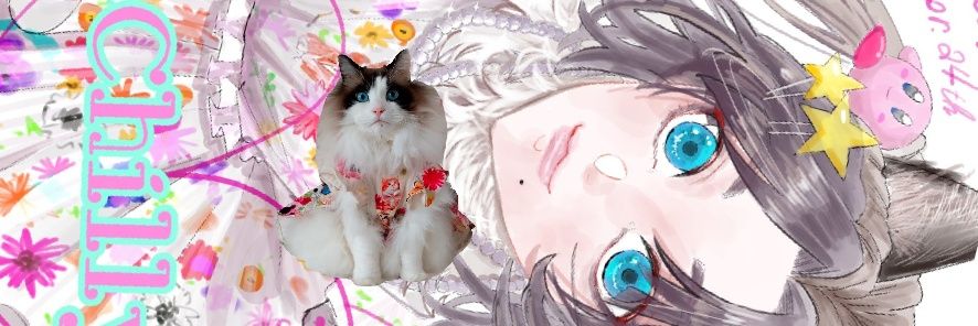 ☃Chilly☃⑦歳🏅🦝🍭's banner