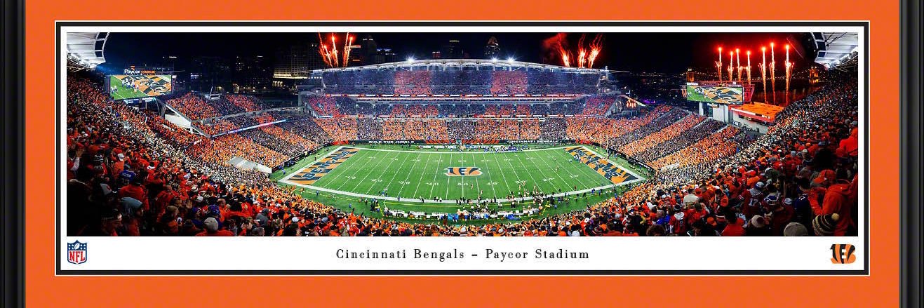 Bengal Hulk's banner