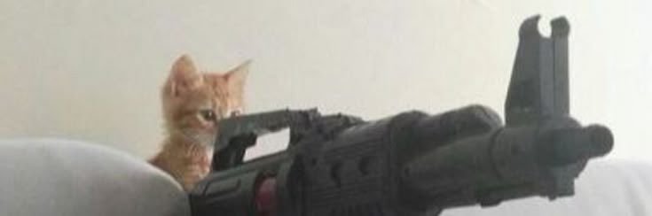 Leyre's banner