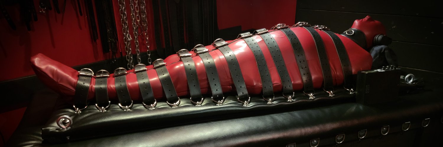 Sallystoybox's banner