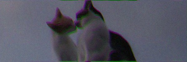 먕's banner