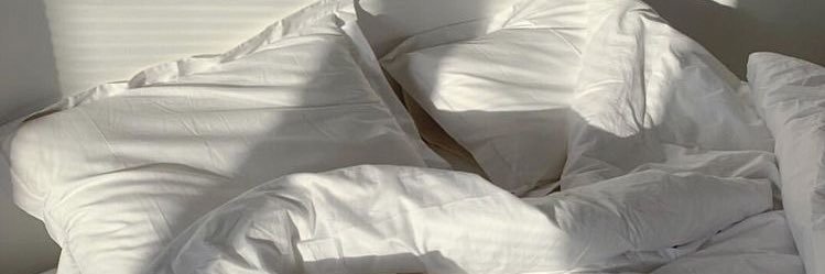 джулия 🌷🕊🥕's banner