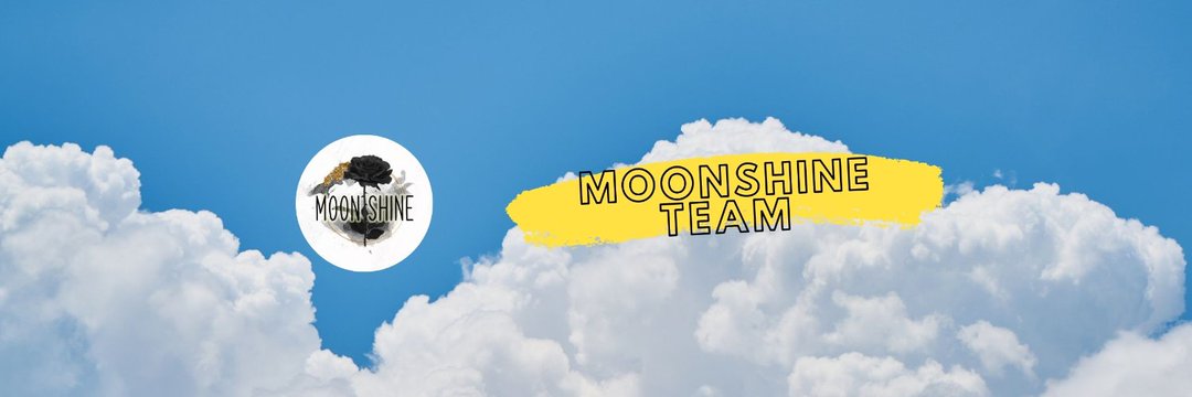 🎬 Moonshine Media 🎬's banner