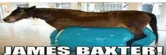 James Baxter's banner