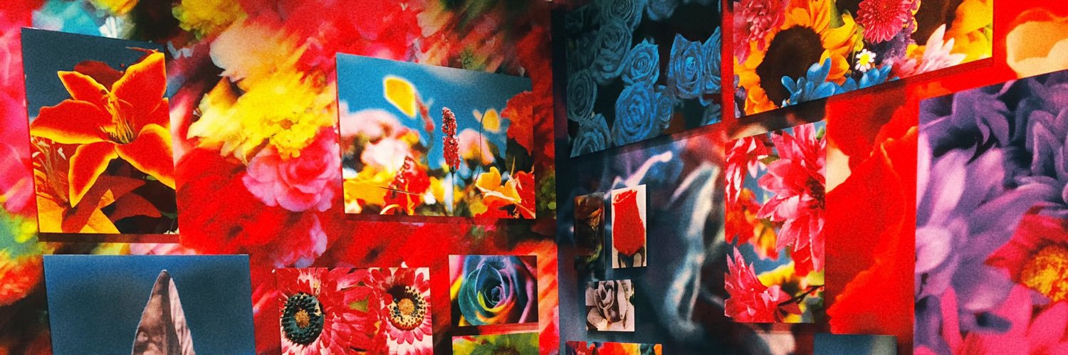 葵's banner