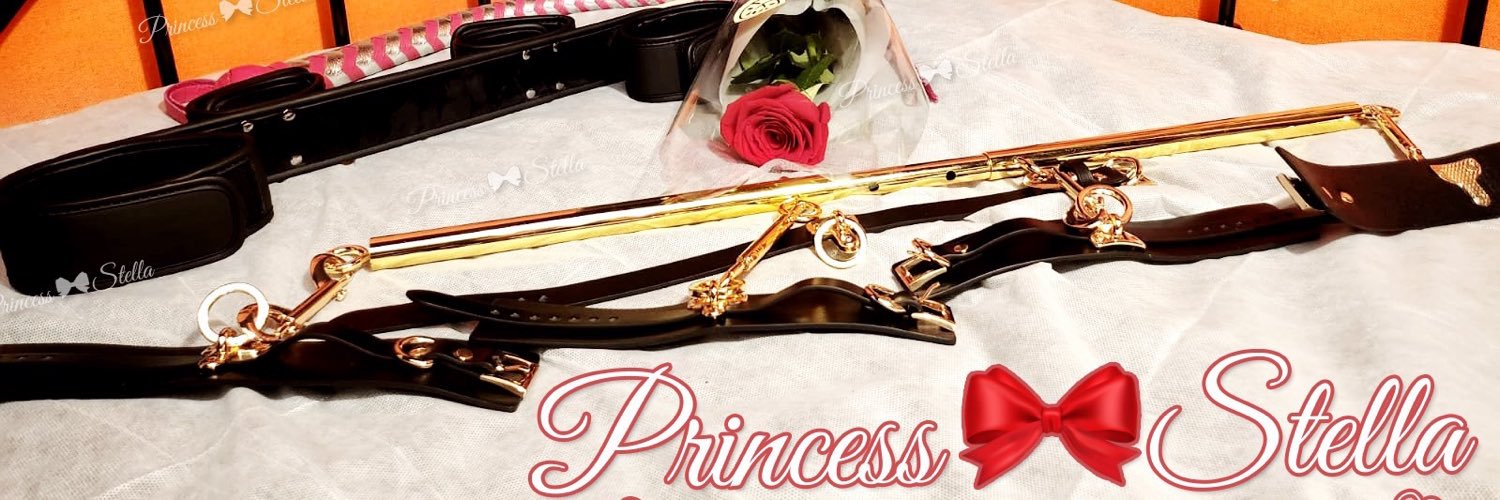 🏳️‍🌈Hk Princess Stella 🎀 Nightime Domme's banner