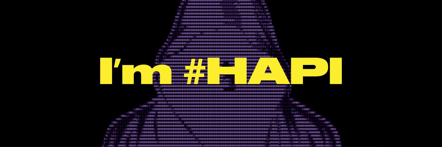 HAPI | Cybersecurity Solutions's banner