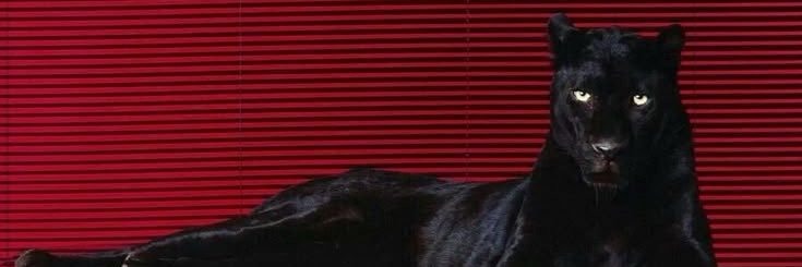 iccyyy 🫧's banner