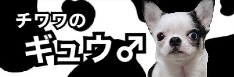 ギュウととみこ's banner