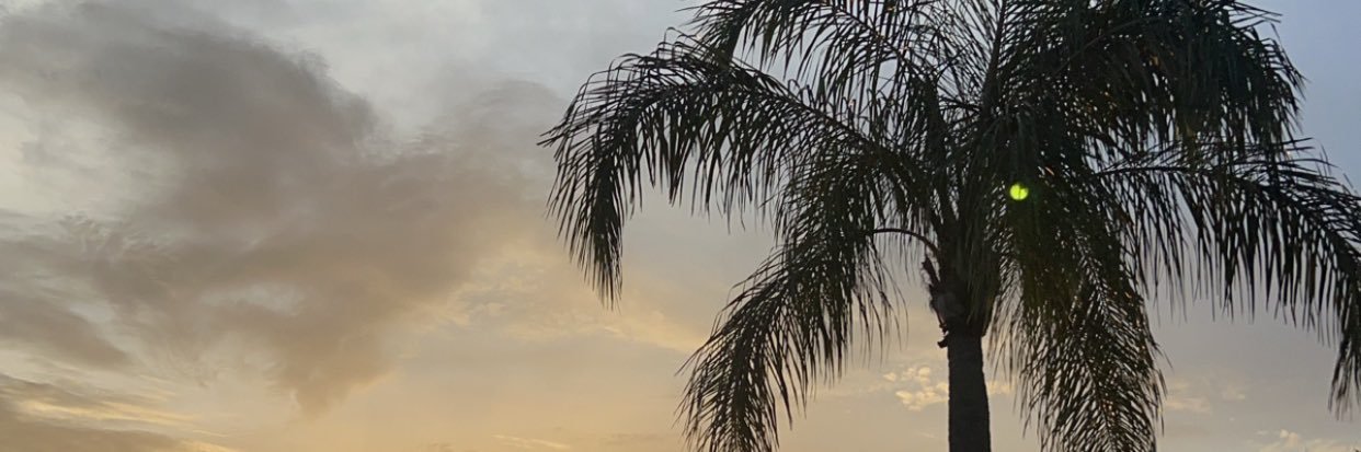 Angel's banner