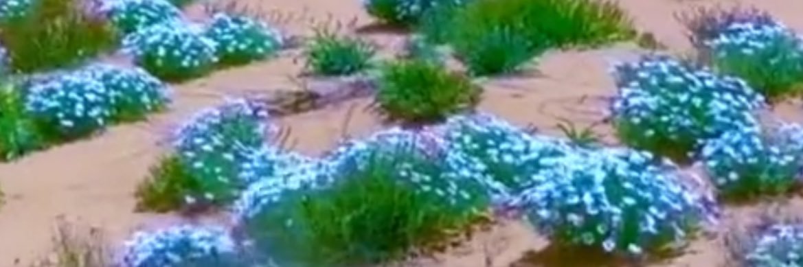 همايّل السّحاب 🌧️'s banner
