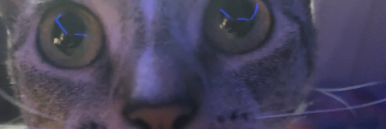 Kibbilicious's banner