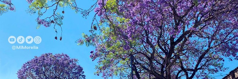 MiMorelia.com's banner