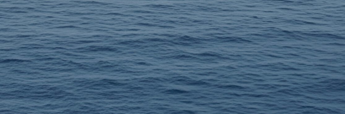 𝕏's banner