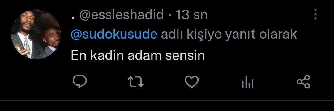 sude's banner