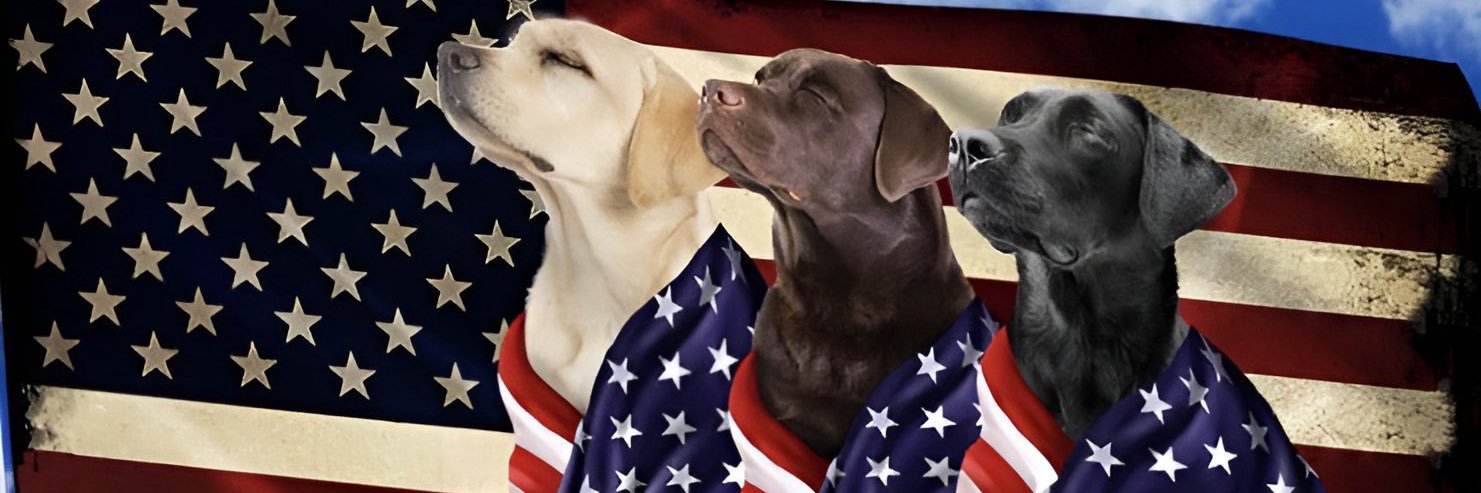 Rescue Dogs Rock, D.C. 🐾🐾🇺🇸's banner