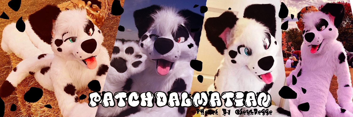 🐾Ⓟⓐⓣⓒⓗ Ⓣⓗⓔ Ⓓⓐⓛⓜⓐⓣⓘⓐⓝ's banner