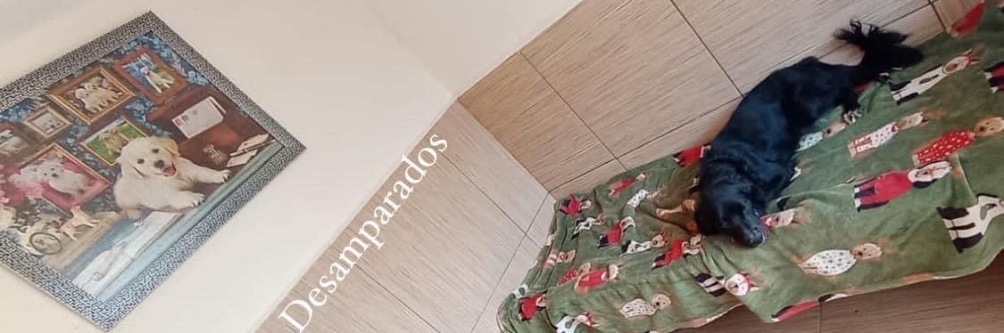 Peludos Desamparados's banner