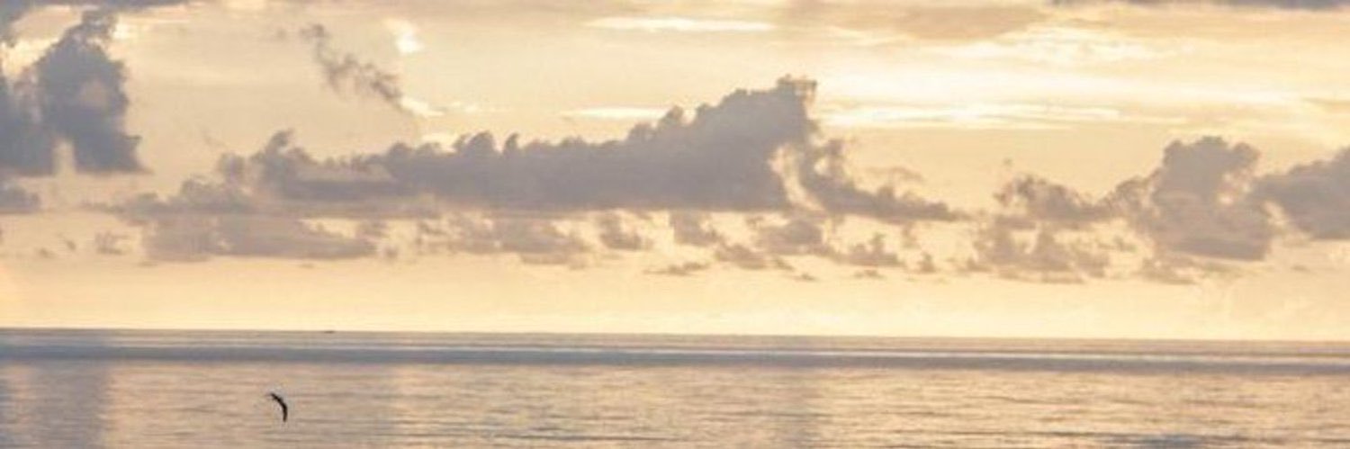 💗☁️'s banner