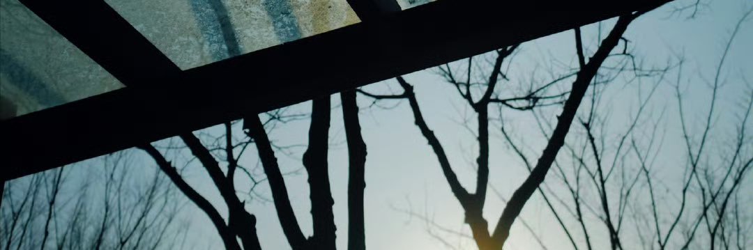 sᴏᴍᴀ's banner