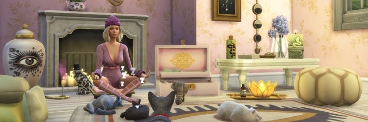 TheClutterCat's banner