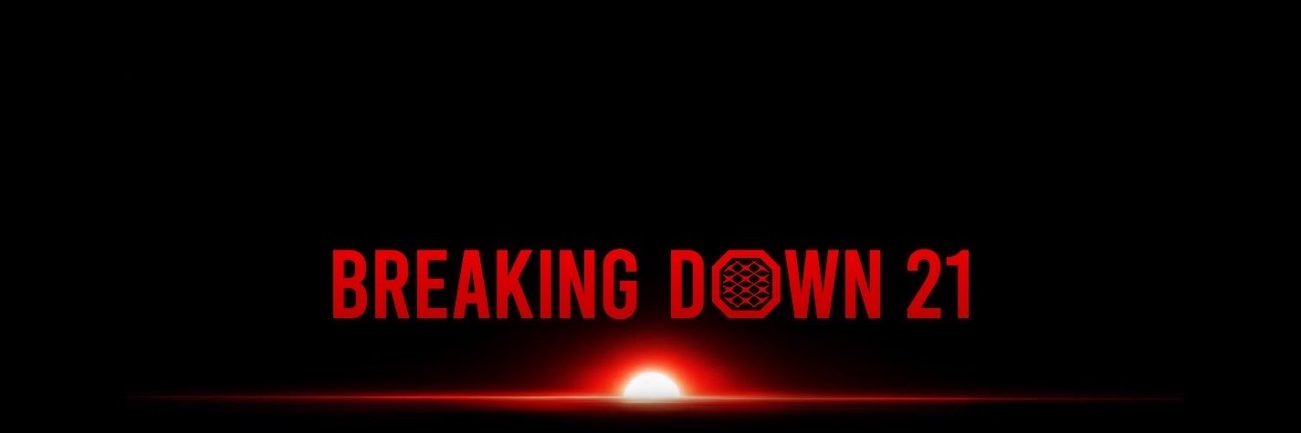 BreakingDown / ブレイキングダウン's banner
