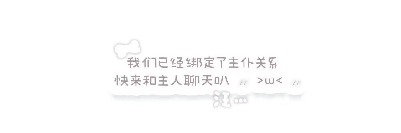 少女救赎's banner