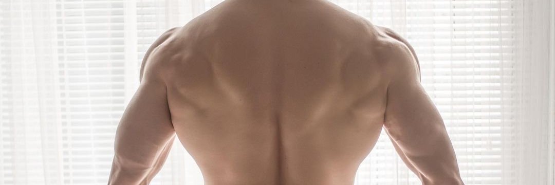 musclife's banner
