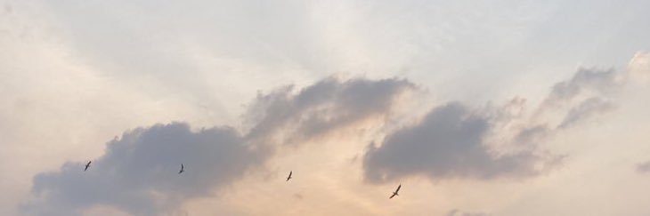 遠藤璃菜's banner