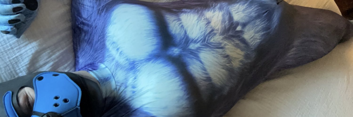 Pup Spidey's banner