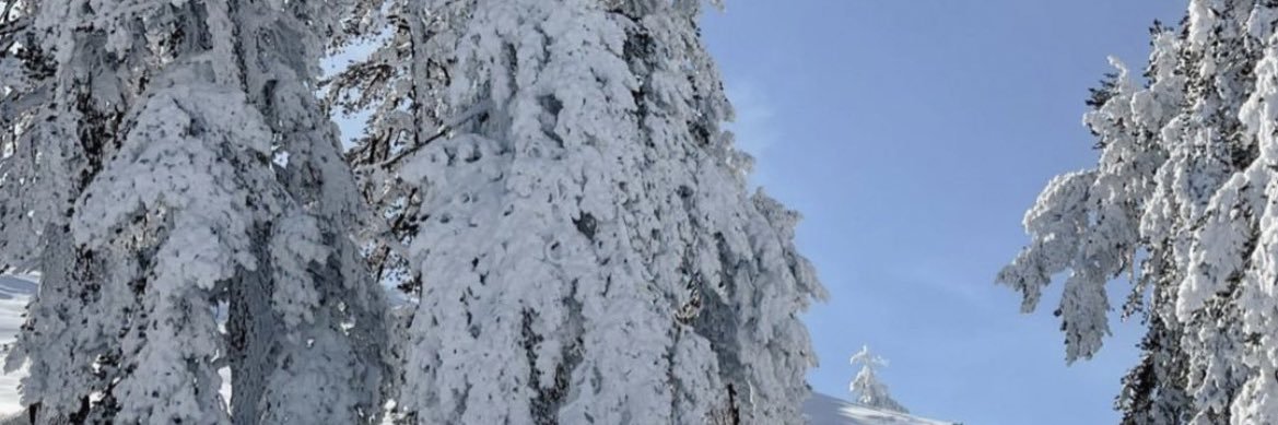 Ασημινα Ιγγλεζου's banner