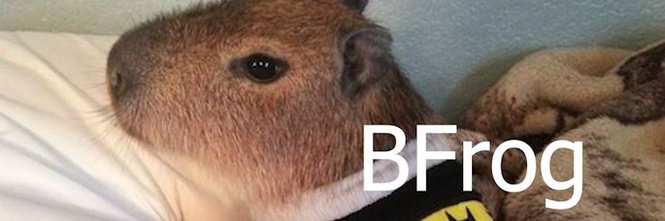BFrog's banner