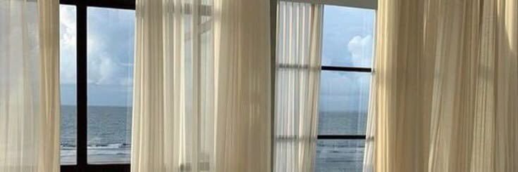 🦋's banner