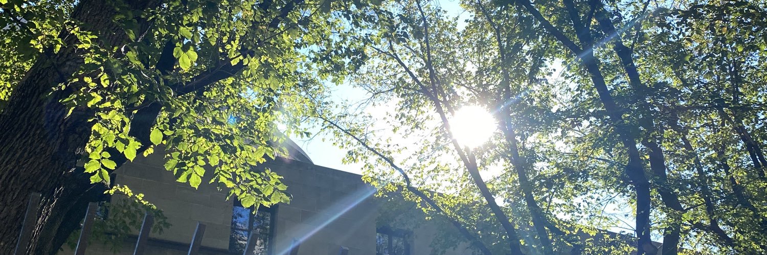 sagittarius ✭'s banner