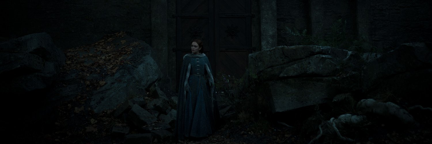 leez the widow's banner