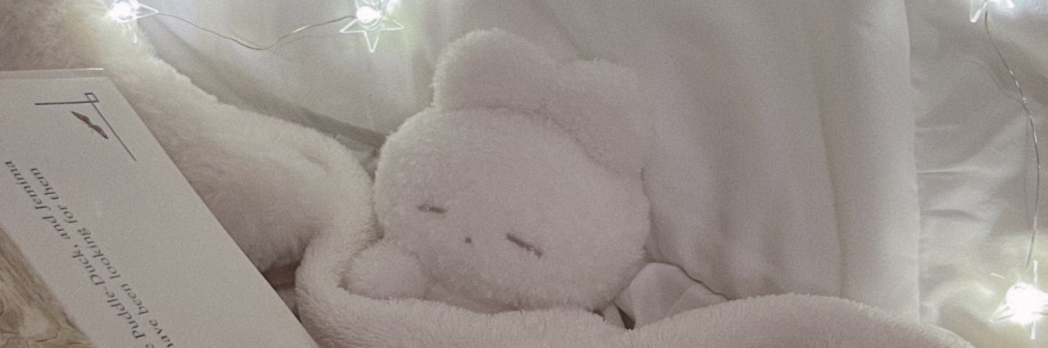 うさぎのねむちゃん's banner
