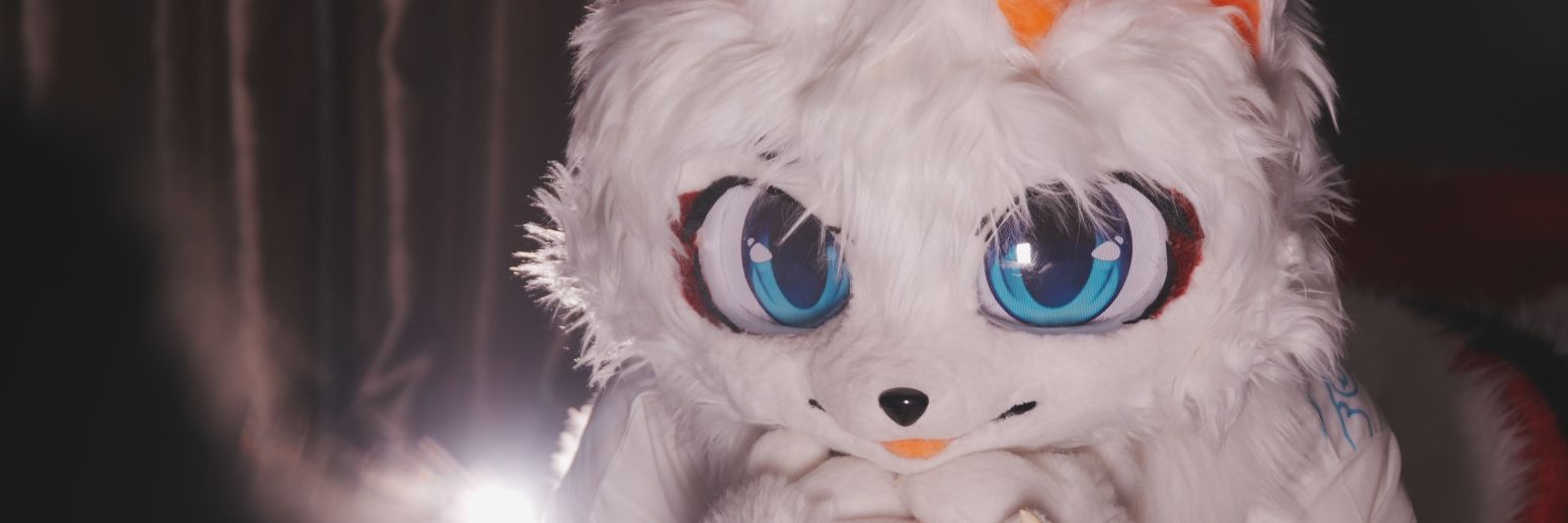 狐狸摆烂了's banner