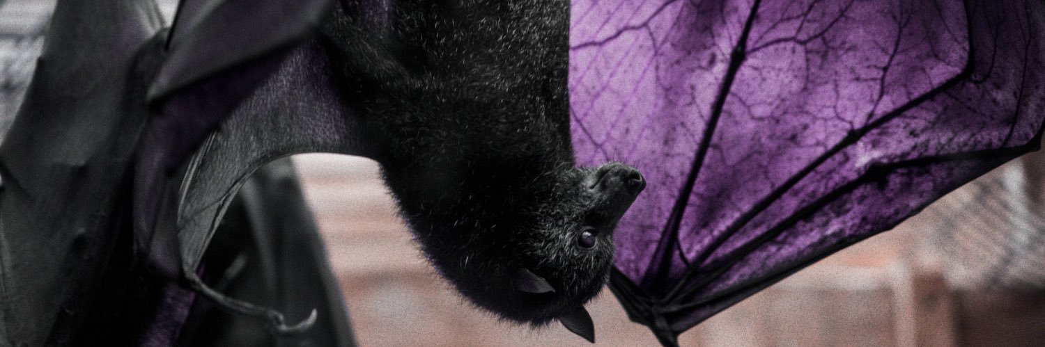 Ξᴍɪʟʏ ɢʜᴏsᴛ's banner