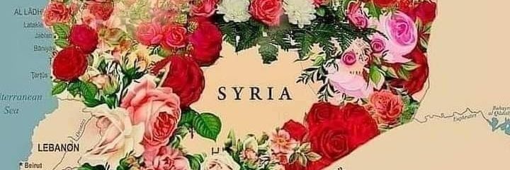 حسين.......ابو زين العابدين..'s banner