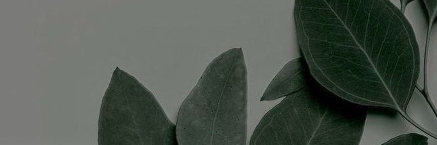 irsss.'s banner