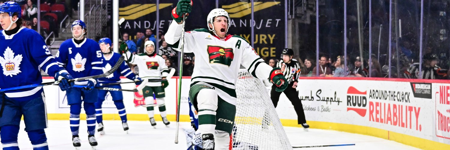 Iowa Wild's banner