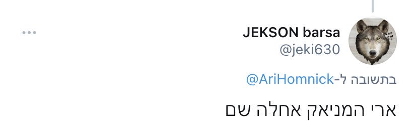 ארי המניק's banner