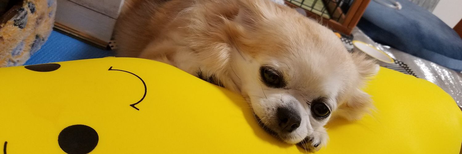 こちゃまる's banner