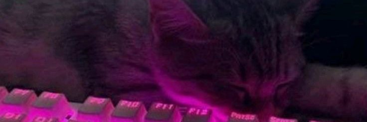 Zoe 💫's banner