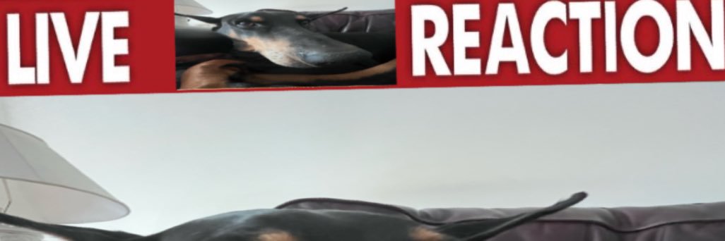 wrth dober's banner