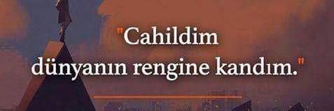 Cahil Bilge's banner