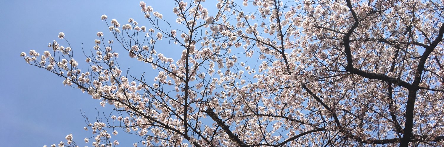 櫻井音楽工房's banner